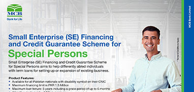 Small Enterprise (SE) Financing and Credit Guarantee Scheme for Special Persons