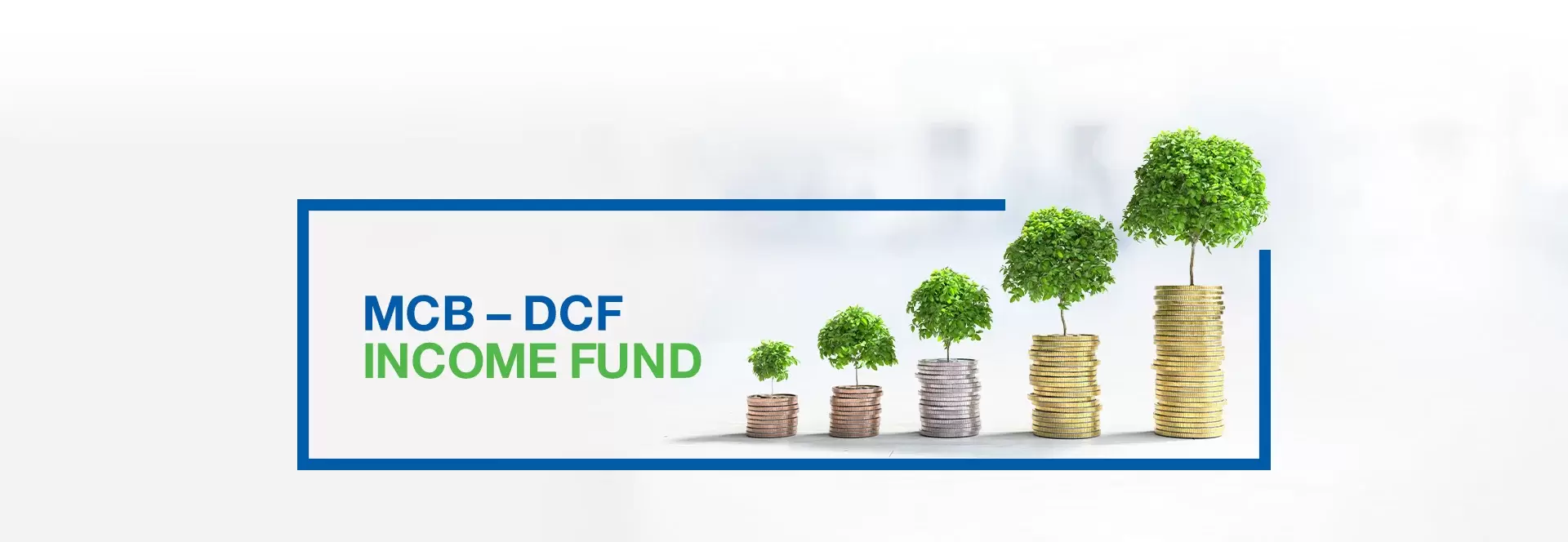 MCB-DCF Income Fund