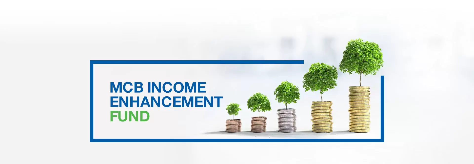 Pakistan Income Enhancement Fund 