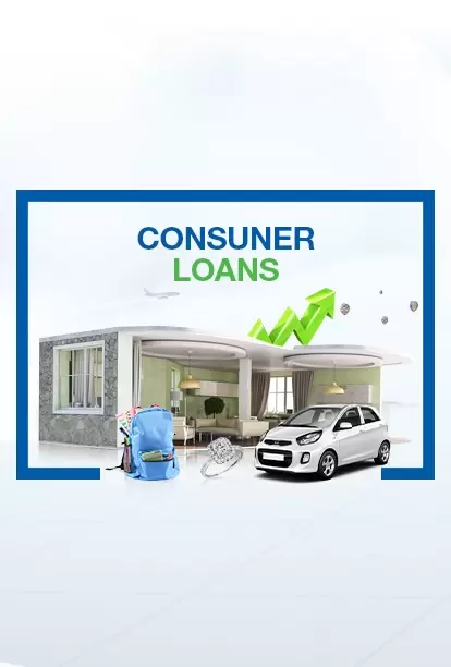 Consumer Loans