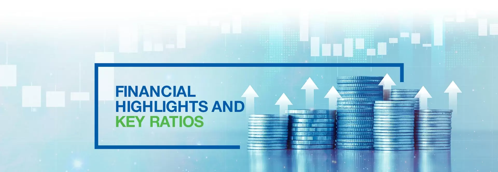 Financial Highlights & Key Ratios