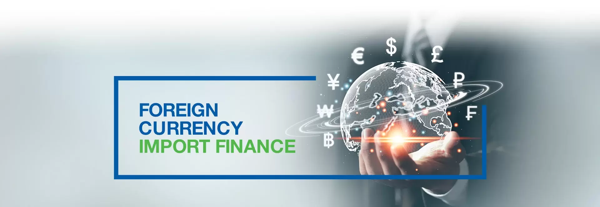 Foreign Currency Import Finance (FCIF)