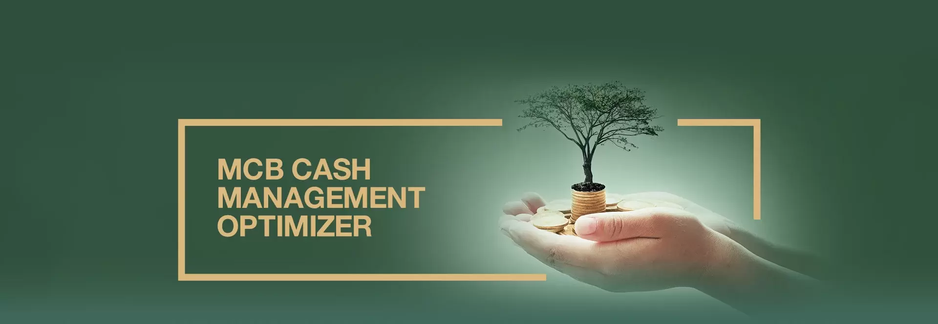 MCB Cash Management Optimizer