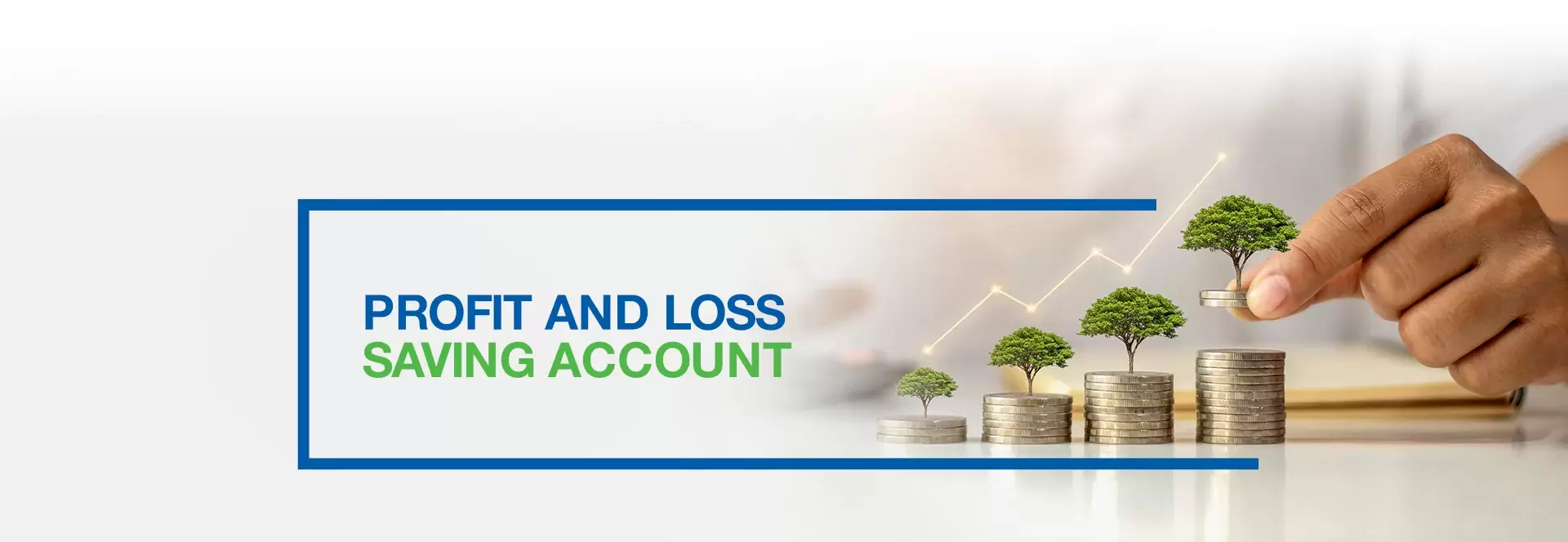 Profit and Loss Saving Account