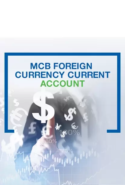 Foreign Currency Current Account