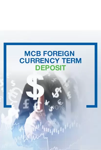 Special Foreign Currency Term Deposit