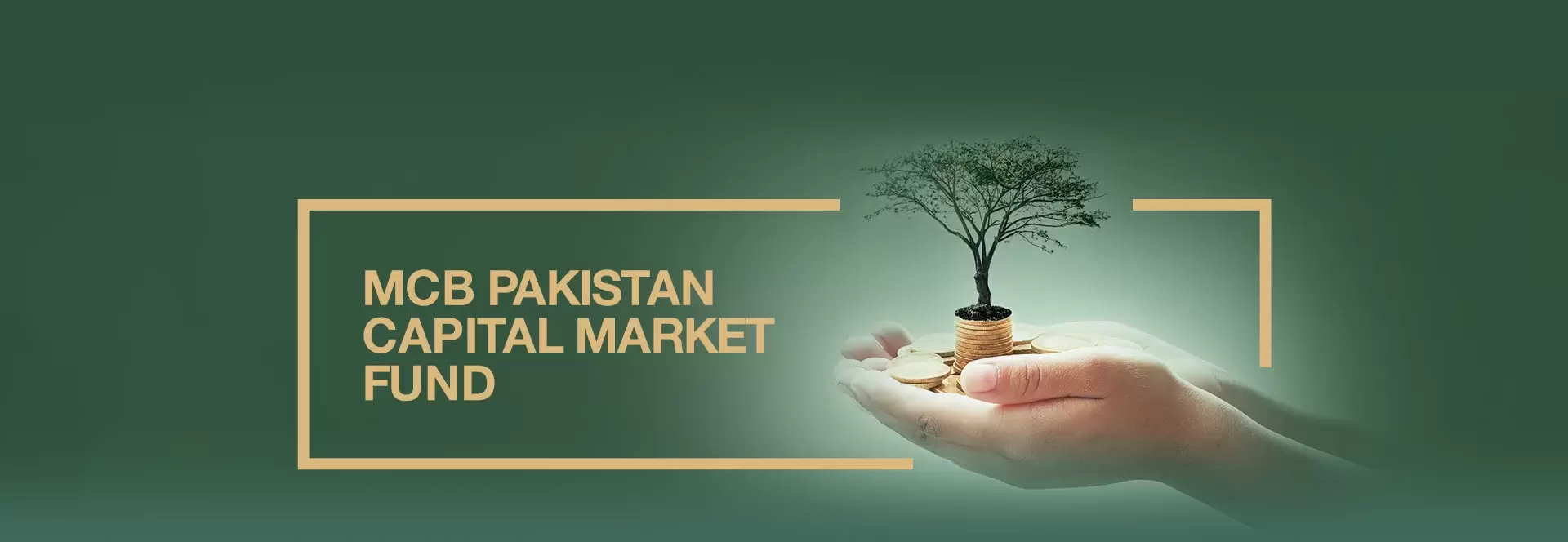 MCB Pakistan Capital Market Fund