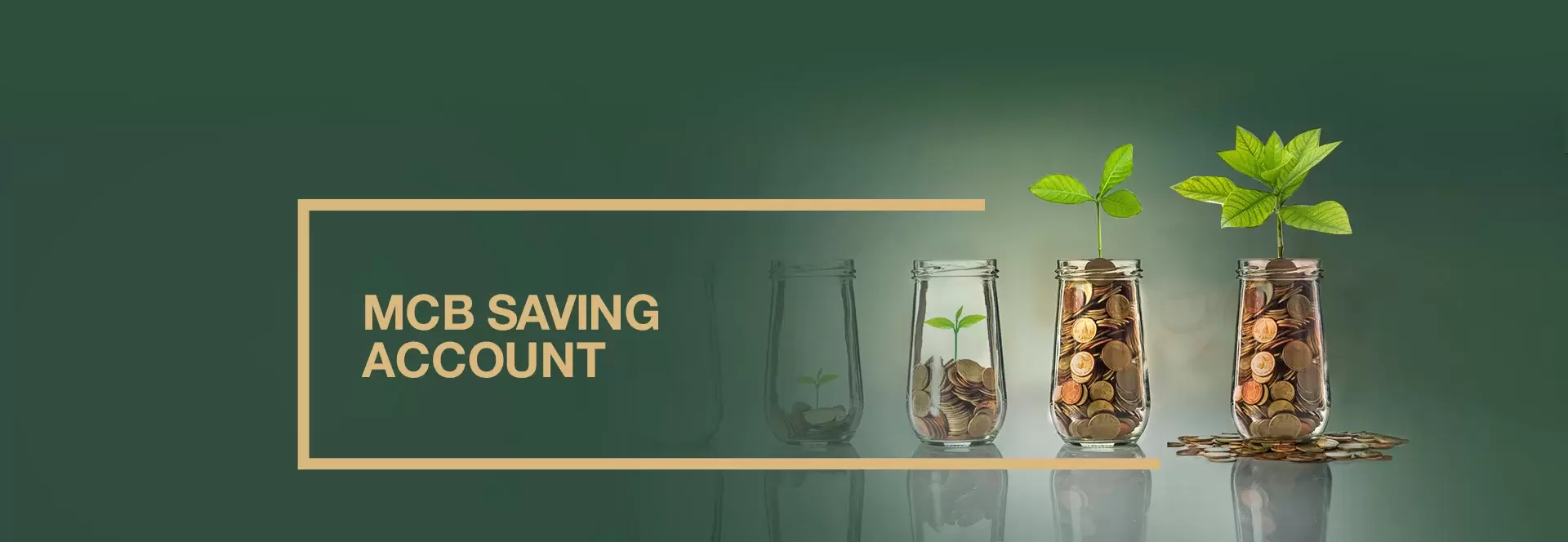 Saving Account