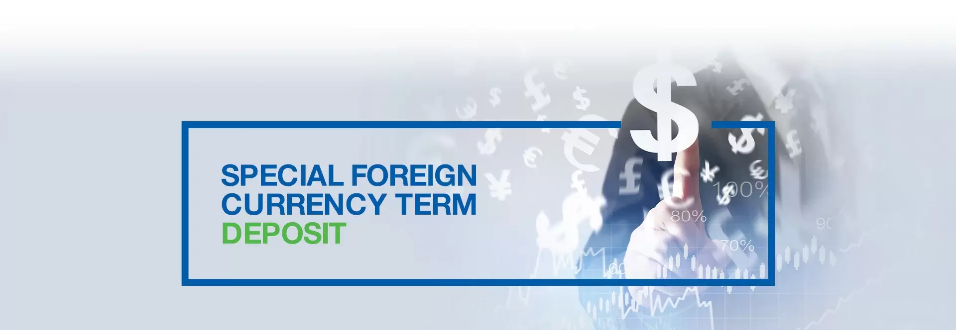 Special Foreign Currency Term Deposit