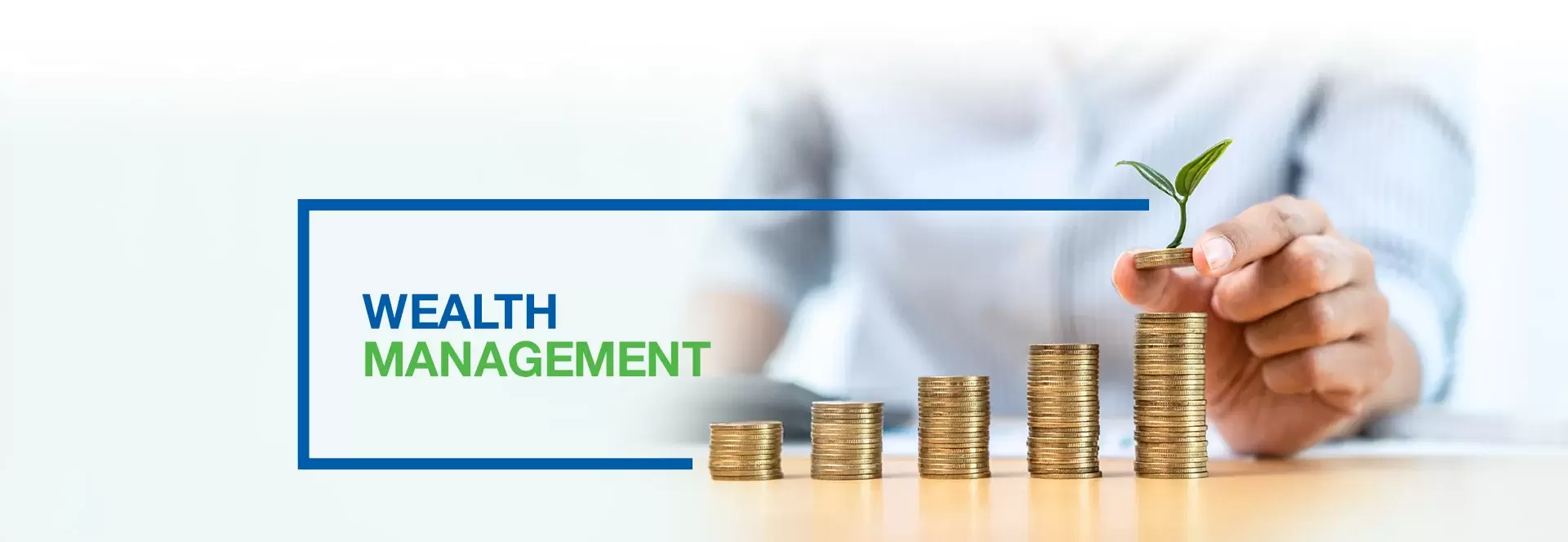 Wealth Management